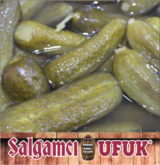 Kornişon Salatalık Turşusu 1-2-3-4-5 Kg