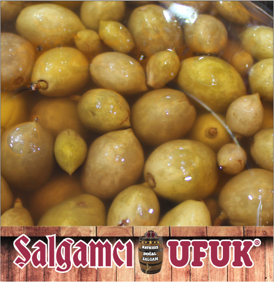 Çağla Turşusu 1-2-3-4-5 Kg